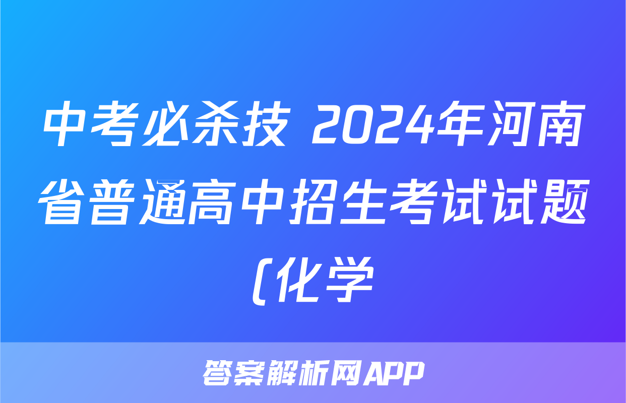 中考必杀技 2024年河南省普通高中招生考试试题(化学)